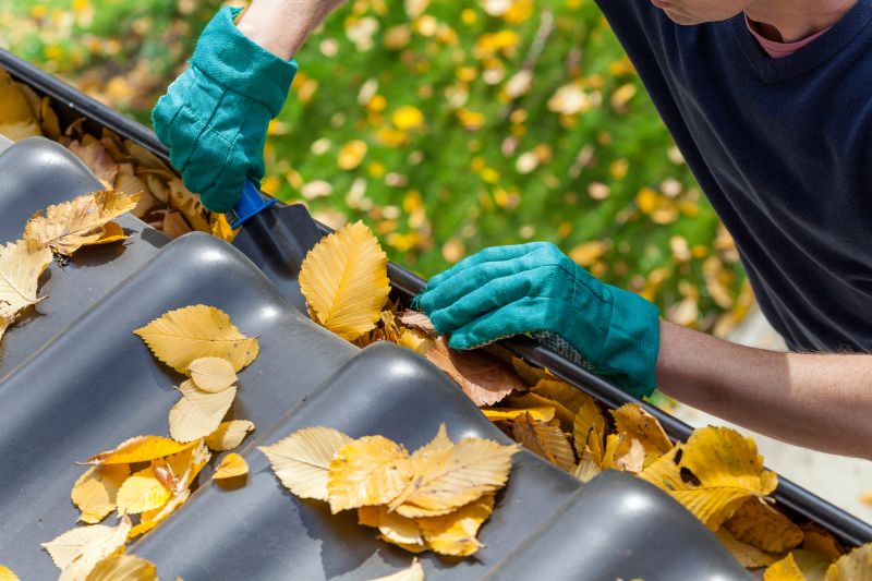 Seasonal Gutter Checks